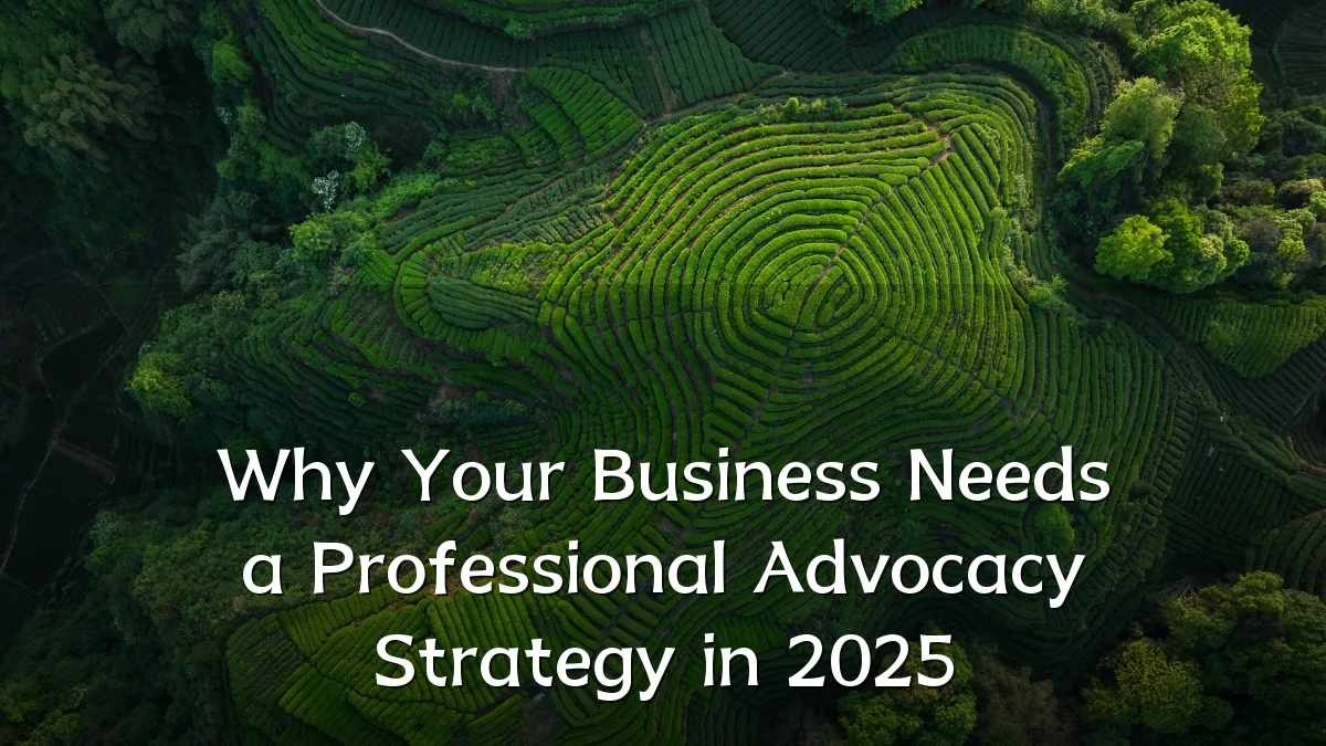 Why Your Business Needs a Professional Advocacy Strategy in 2025