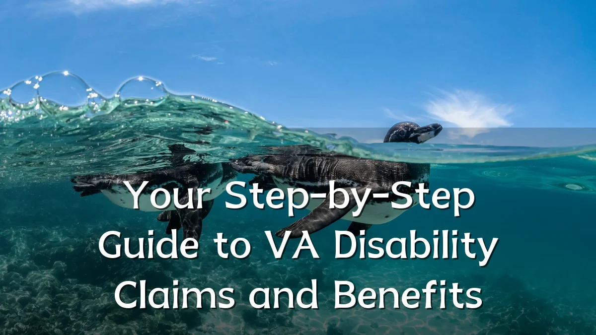 Your Step-by-Step Guide to VA Disability Claims and Benefits