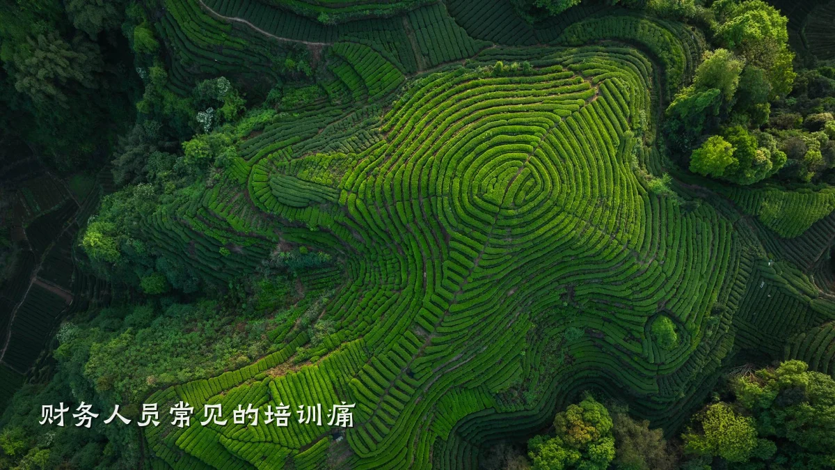 财务人员常见的培训痛