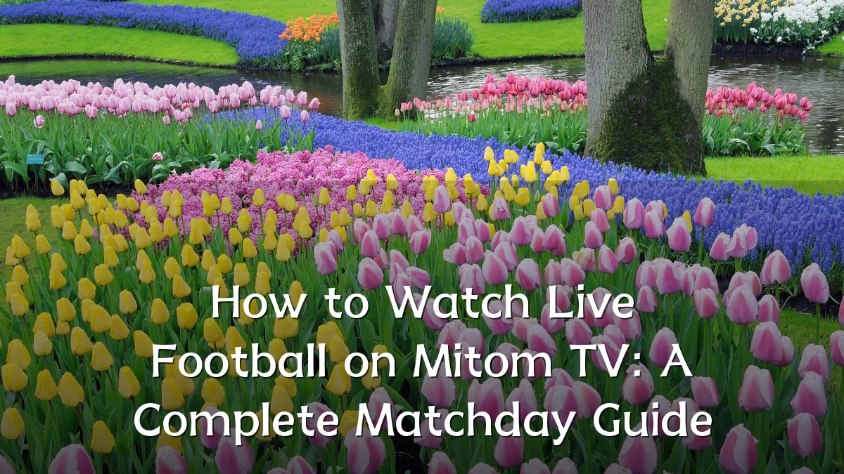 How to Watch Live Football on Mitom TV: A Complete Matchday Guide