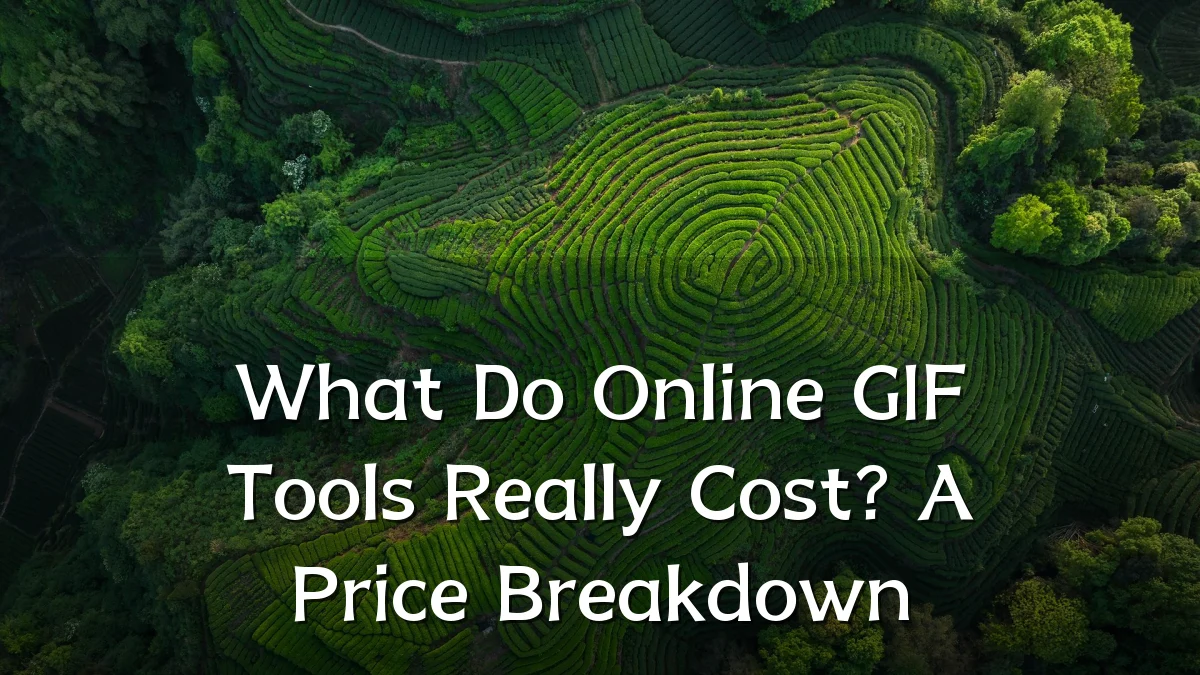 What Do Online GIF Tools Really Cost? A Price Breakdown